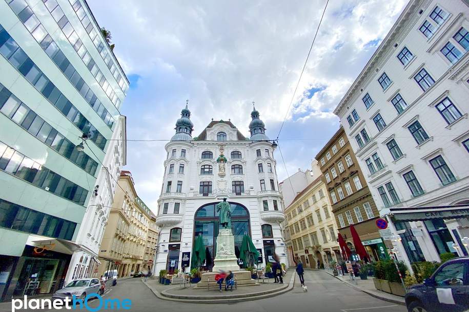 Open Space Wohnen und Arbeiten im Herzen der Wiener Innenstadt zur Miete, Wohnung-miete, 3.478,02,€, 1010 Wien 1., Innere Stadt