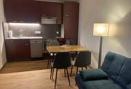 3 Zimmer- Wohnung mit großer uneinsehbarer Terrasse und einer weiteren kleinen Terrasse