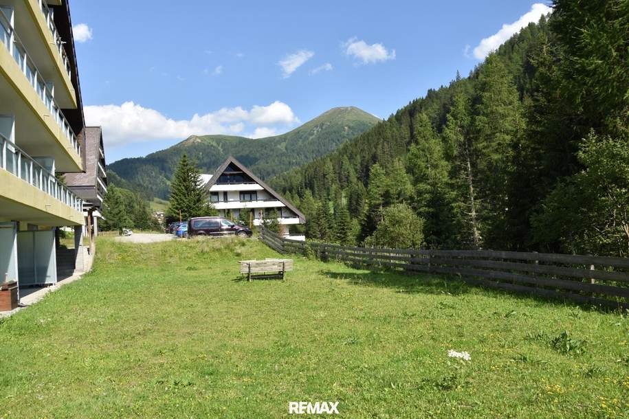 Wohnen - Vermieten - Relaxen im Biosphärenpark Nockberge - Innerkrems, Wohnung-kauf, 95.000,€, 9862 Spittal an der Drau