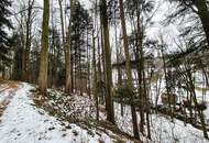 Waldgrundstück Teil 7