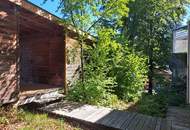 Wohnen am Buchenwald - moderne 57 qm Wohnung mit angenehmer Kühle im Sommer