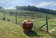 Ein Paradies im Südburgenland!