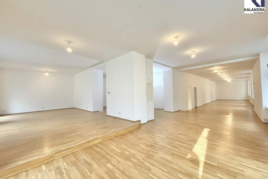360 TOUR // GESCHÄFTSLOKAL an der HIMMELPFORTSTIEGE, Gewerbeobjekt-miete, 4.189,90,€, 1090 Wien 9., Alsergrund