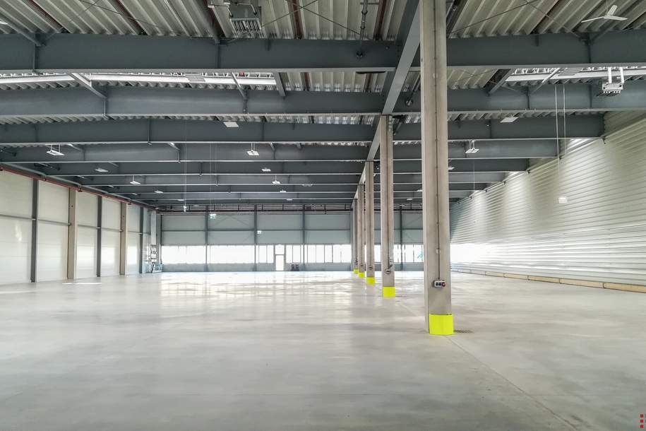 Produktions-/Lagerfläche mit ca. 6.200m² | Höhe ca. 7,60m | Teilflächen ab ca. 1.300m² möglich | Rampen und ebenerdige Einfahrt, Gewerbeobjekt-miete, 11,00,€, 2100 Korneuburg