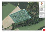 Smartes Auszeit-Domizil in idyllischer Ruhelage