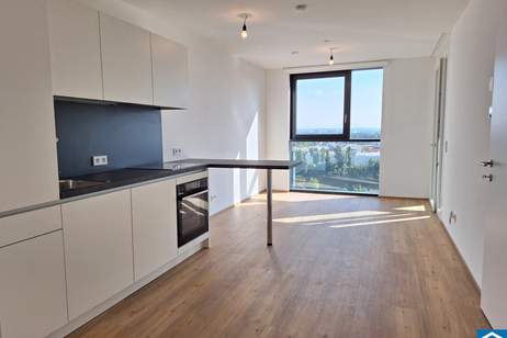 OPEN HOUSE AM FREITAG 04.07 von 14.00 Uhr bis 17.00 Uhr – Bulgariplatz 11 OHNE VORANMELDUNG, Wohnung-miete, 770,00,€, 4020 Linz(Stadt)