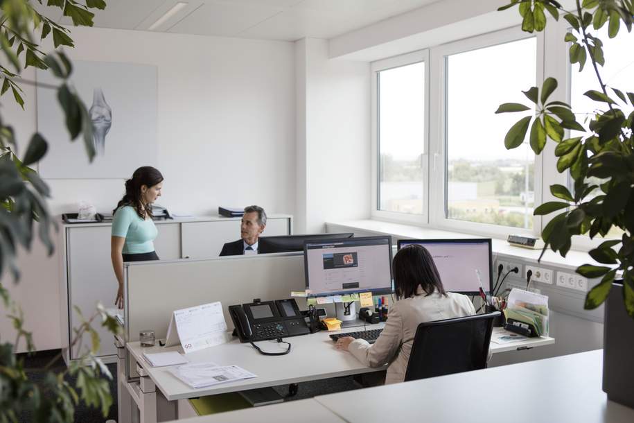 Office & Warehouse auf Ihre Bedürfnisse abgestimmt und das provisionsfrei - WALTER BUSINESS-PARK, Gewerbeobjekt-miete, 5.356,50,€, 2351 Mödling