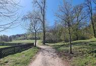 Villa beim Lainzer Tiergarten nach Kundenwunsch geplant - Edelrohbau mit Baugenehmigung - Lift im Haus möglich