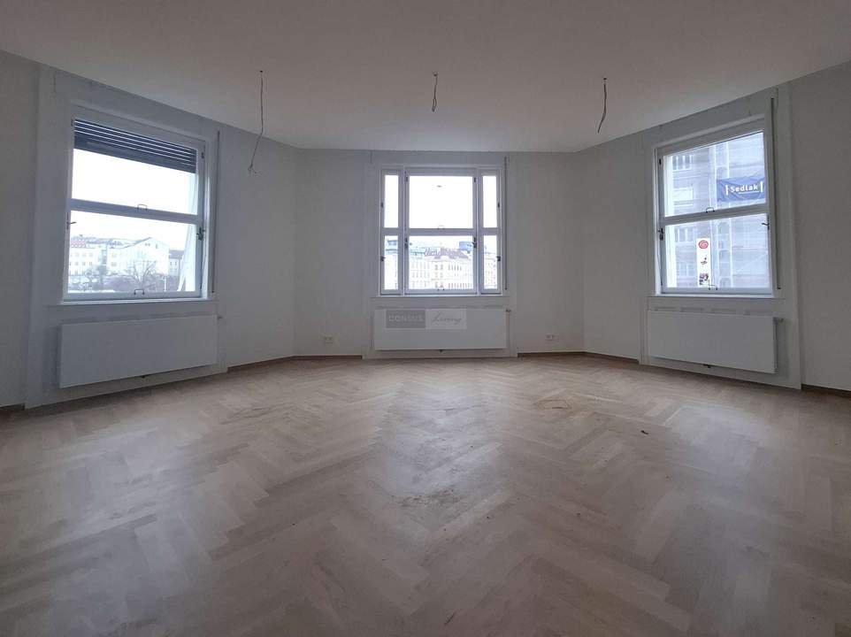 Naschmarkt vor der Türe: 5-Zimmer-Altbaubürofläche im Erstbezug - VIDEO verfügbar !