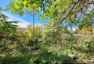 Bauträgerliegenschaft; Winzerhof-Grundstück mit Entwicklungspotenzial in Stammersdorf; Laut Studie 1.550m² erzielbare Wohnnutzfläche möglich