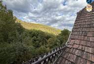 Bastlerhaus im Reisperbachtal - SANIERUNGSBEDÜRFTIG!