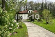 Ein Juwel erwartet Sie; Und das nur 20 Autominuten von Wien entfernt!