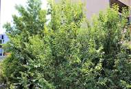 UHLANDGASSE, U1-Nähe, 64 m2 Neubau mit 3 m2 Balkon, 2 Zimmer, 2er-WG-geeignet, Wohnküche, Duschbad, 3. Liftstock