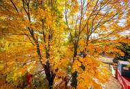 ++Fasangarten++ Altbau mit Potenzial – 2 Zimmer zum Sanieren