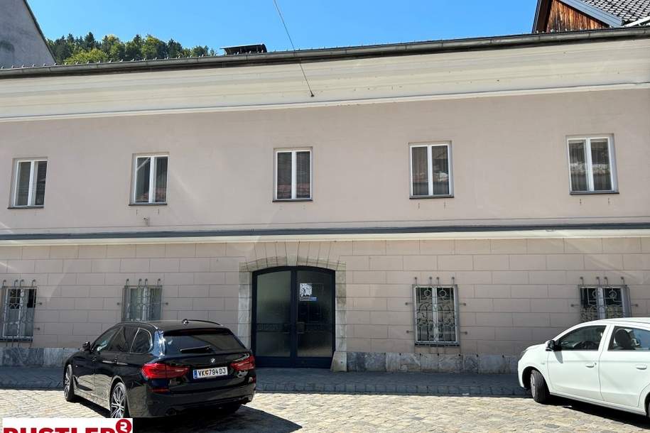 Zentrales Büro mit 149,92 m² in Bad Eisenkappel, Gewerbeobjekt-miete, 1.162,19,€, 9135 Völkermarkt