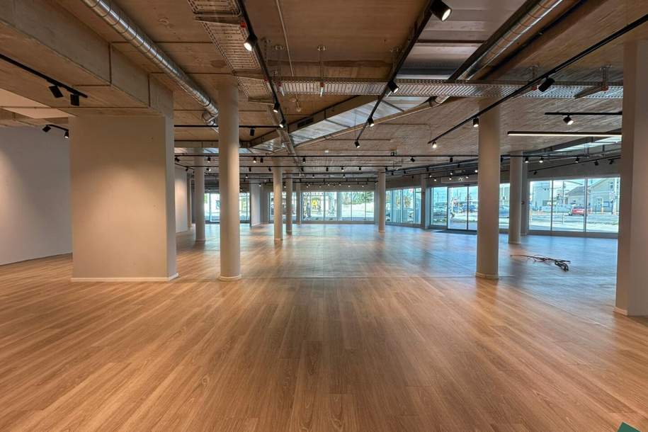 Maximale Frequenz &amp; Sichtbarkeit – Geschäftsfläche gegenüber der Badner Bahn und stark frequentierter Pkw-Kreuzung, Gewerbeobjekt-miete, 11.970,40,€, 2351 Mödling