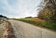 WEIHNACHTSAKTION! SCHLÜSSELFERTIG! Traumhaftes Einfamilienhaus in idyllischer Lage