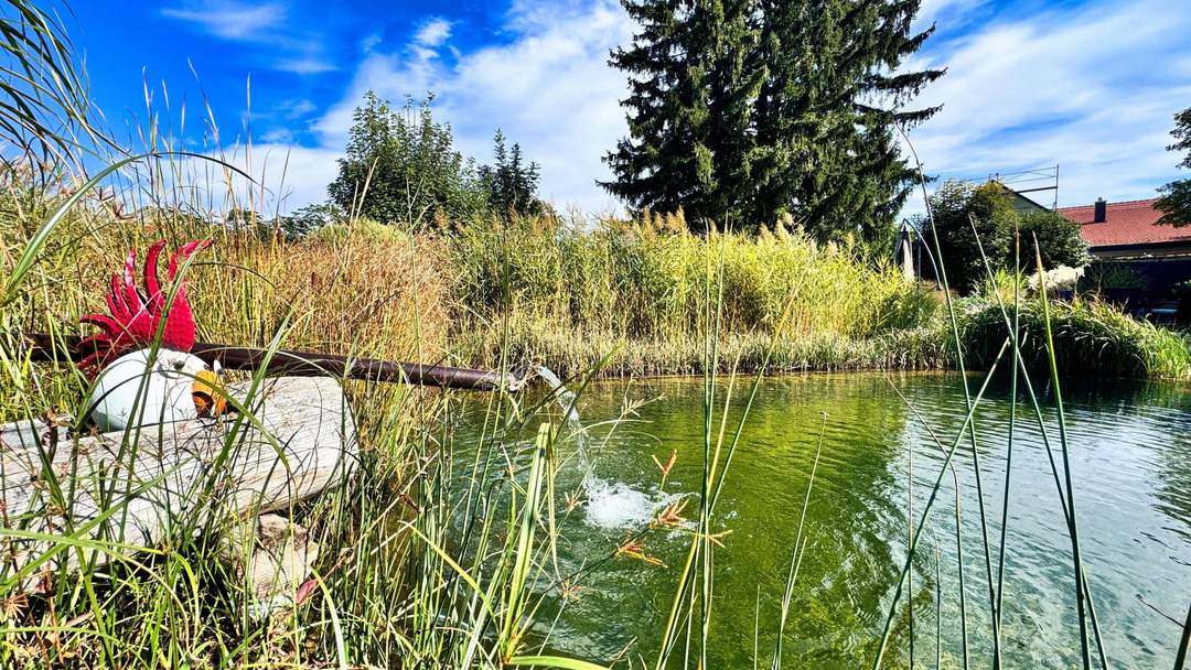 GARTENPARADIES mit ÖKO HAUS - WAIDENDORF/DÜRNKRUT