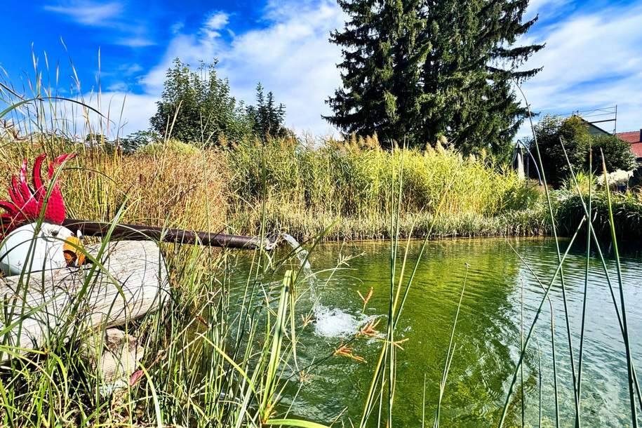 GARTENPARADIES mit ÖKO HAUS - WAIDENDORF/DÜRNKRUT, Haus-kauf, 488.000,€, 2263 Gänserndorf