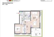 ERSTBEZUG "ein viertel grün" in Wr. Neustadt - herrliche 2 Zimmerwohnung mit traumhaftem Garten