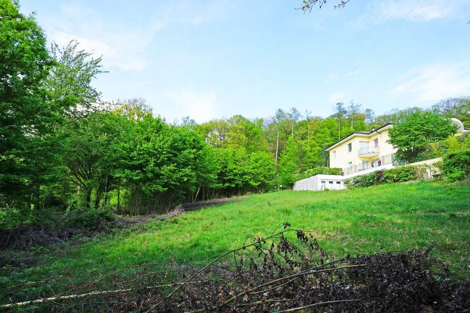 Zwei zentrumsnahe Baugrundstücke in ruhiger Waldrandlage, Grund und Boden-kauf, 690.000,€, 3003 Sankt Pölten(Land)