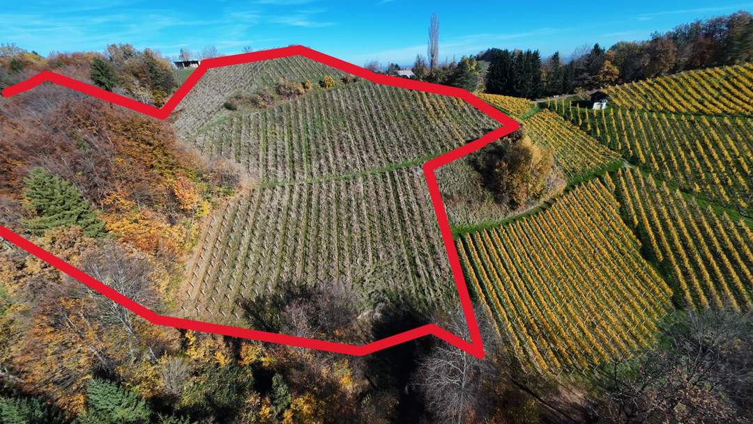 Weingarten mit Landwirtschaft in Kranach, Gemeinde Gamlitz ( ZONE III )