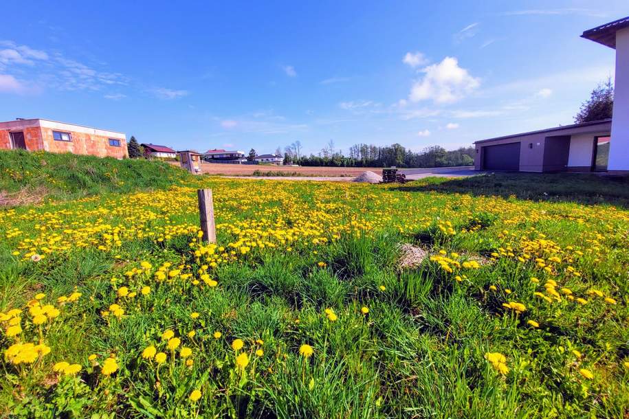 Sonniges Baugrundstück, Grund und Boden-kauf, 199.000,€, 4502 Linz-Land