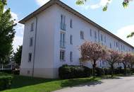 Seltene Gelegenheit in begehrter Lage! Gemütliche 2-Zimmer Wohnung mit bodentiefen Fenstern, praktischem Abstellraum UND kostengünstigem Parkplatz direkt vor der Haustüre!