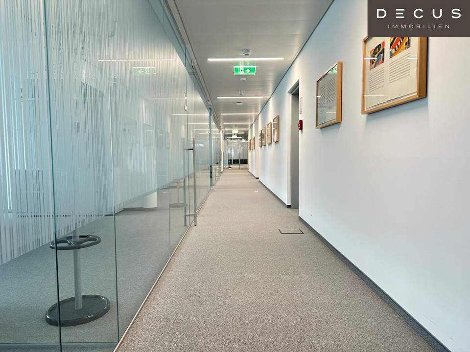 Großzügige Büroflächen im Süden von St. Pölten | Halle | Flugdach | Freifläche | Stellplätze