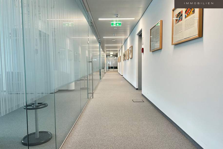 Großzügige Büroflächen im Süden von St. Pölten | Halle | Flugdach | Freifläche | Stellplätze, Gewerbeobjekt-miete, 21.810,94,€, 3100 Sankt Pölten(Stadt)