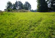 Traumhaftes Baugrundstück Nähe Weitra: 1.060 m² warten auf Sie