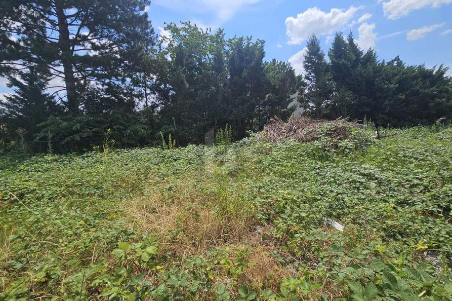 Preisreduktion! IHR PLATZ ZUM ANKOMMEN - TRAUMHAFTES GRUNDSTÜCK IN BEGEHRTER LAGE, Grund und Boden-kauf, 373.000,€, 2102 Korneuburg