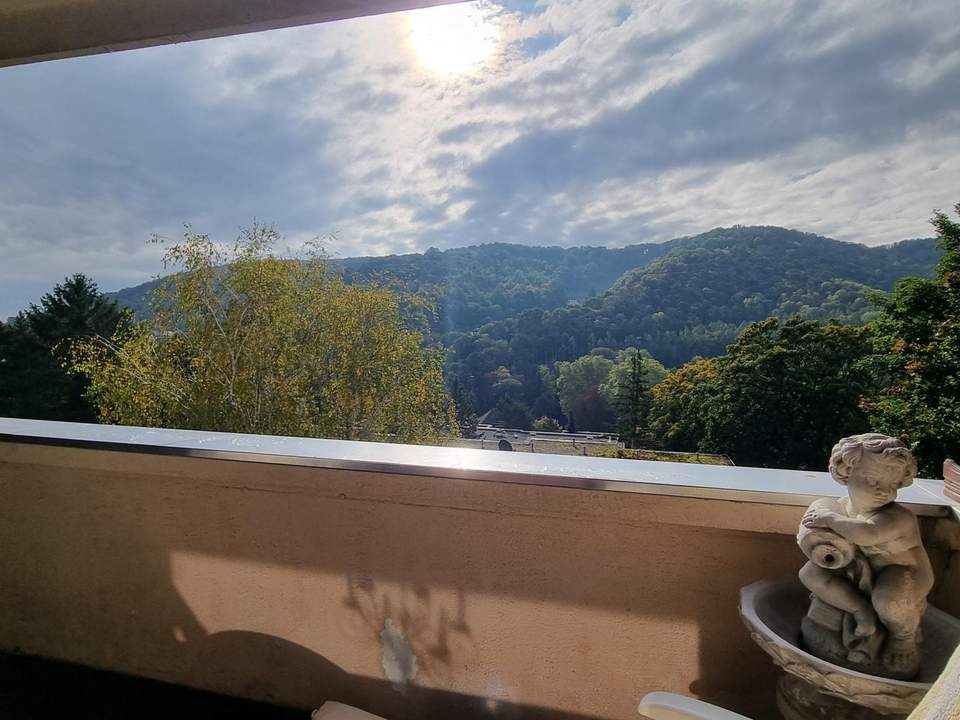 SEHR GEPFLEGTE 3-ZIMMERWOHNUNG MIT GRÜNBLICK