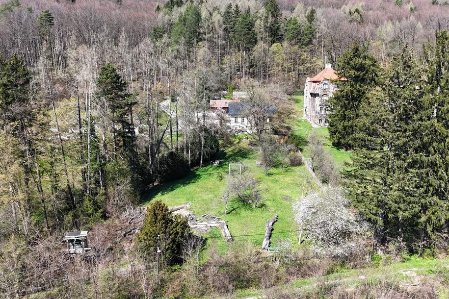 Teilbar! Riesiges Grundstück mit Altbestand in traumhafter Südlage am Sagberg, Grund und Boden-kauf, 1.480.000,€, 3002 Sankt Pölten(Land)