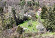 Teilbar! Riesiges Grundstück mit Altbestand in traumhafter Südlage am Sagberg