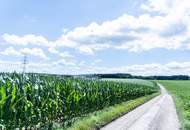 Perfektes Gewerbegrundstück mit Grünblick in Wolfern