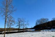 Elegante Villa in idyllischer Wienerwaldlage mit Pool und großem Garten
