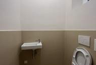 Großzügige, neu renovierte Büro-Wohnung in repräsentativem Stilaltbau Nähe Staatsoper!