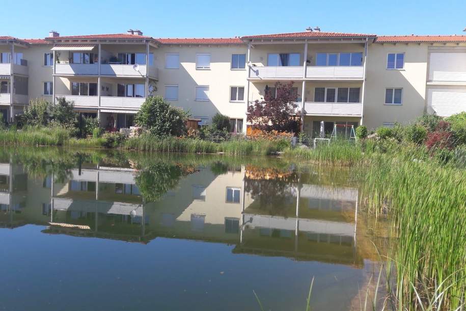 "Barrierefreie 3-Zimmer-Wohnung mit Schwimmteich", Wohnung-kauf, 329.000,€, 3430 Tulln