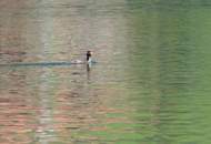 2 Seegrundstücke am Weissensee