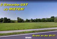 Gewerbegrundstück für Betriebe - DIREKT an der B 137 zwischen Wels und Schärding!