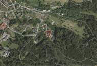 Verborgener Schatz in der Bregenzer Oberstadt