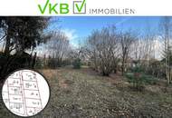 Attraktive Bauparzelle in Spattendorf! – Gemeinde Alberndorf in der Riedmark (GST 2438/2, 2437/3)