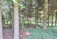 Großes Grundstück mit Fischteich und Badeteich, Erholungsanlage, Freizeitparadies mit viel Potenzial