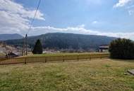 Erholung im Feriengebiet: Interessante Liegenschaft mit Nebengebäude