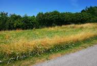 Eckgrundstück in Ortsrandlage 1.216 m²