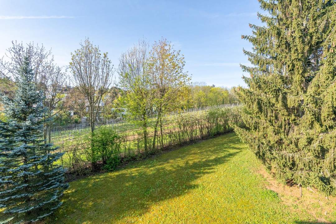 "Weingartenblick inklusive – frisch renovierte Wohnung in Döbling!"