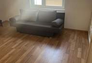 SANIERT: Kleinhaus mit Dachboden auf großem Grundstück in ruhiger Gegend