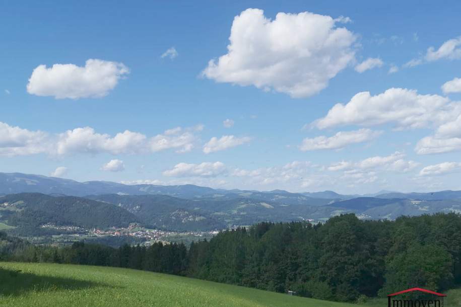 Gelegenheit in Edelschrott für Private – Geld sparen, gemeinsam Bauen und Wohnen!, Haus-kauf, 500.000,€, 8583 Voitsberg