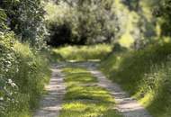 Leben gleich neben dem Nationalpark Donauauen nahe Wien